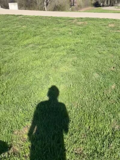 Mickey's Dog Park - Killeen, TX