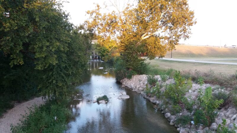 Mickey's Dog Park - Killeen, TX