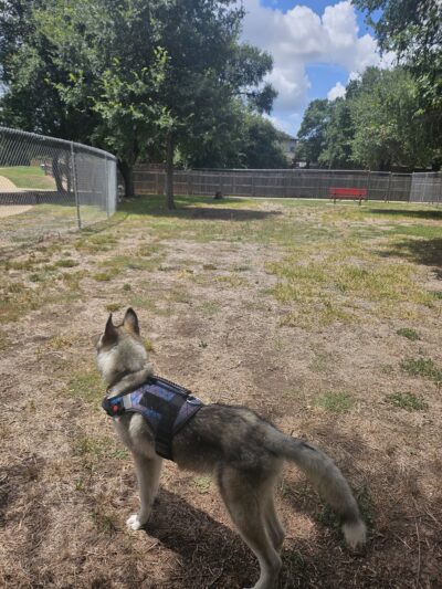 Yowell Ranch Dog Park - Killeen, TX