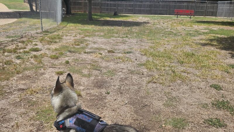 Yowell Ranch Dog Park - Killeen, TX