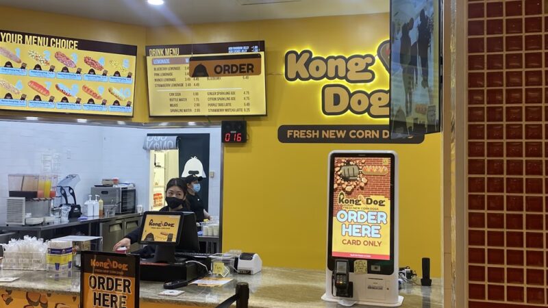 Kong Dog King of Prussia - King of Prussia, PA