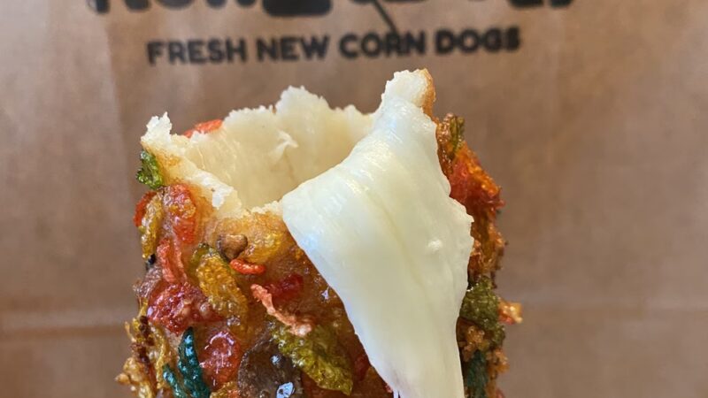 Kong Dog King of Prussia - King of Prussia, PA