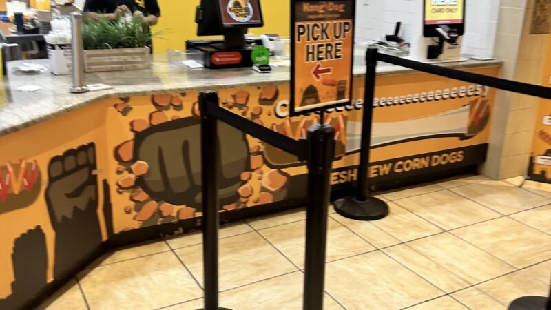 Kong Dog King of Prussia - King of Prussia, PA