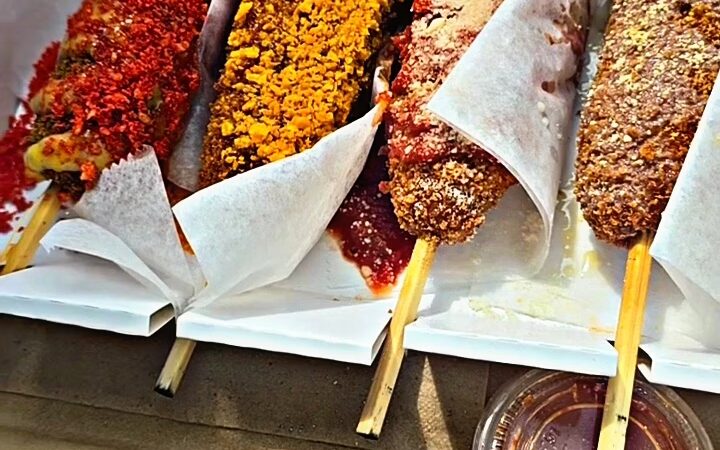 Kong Dog King of Prussia - King of Prussia, PA