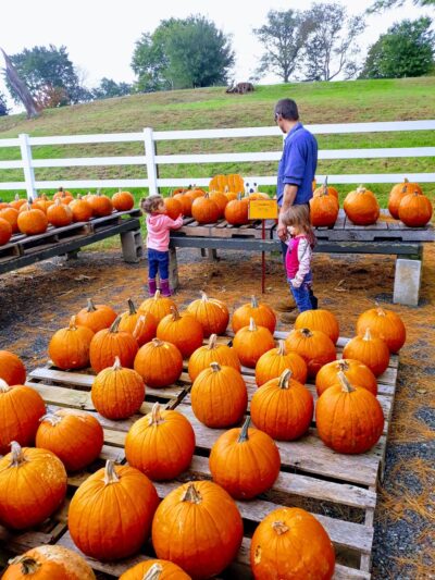 Norview Farm Park - King of Prussia, PA