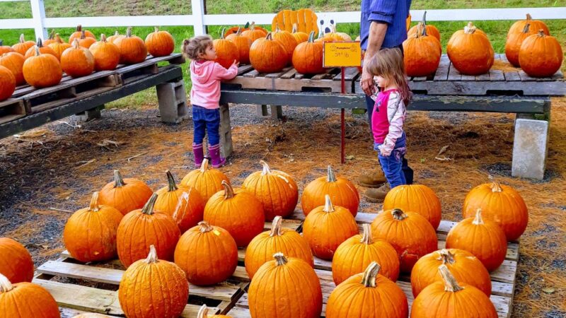 Norview Farm Park - King of Prussia, PA