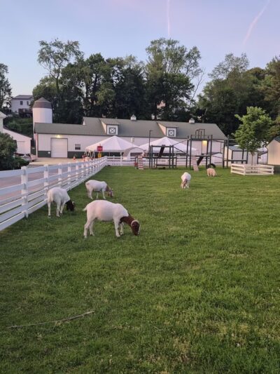 Norview Farm Park - King of Prussia, PA