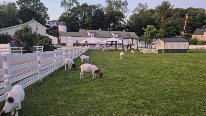 Norview Farm Park - King of Prussia, PA