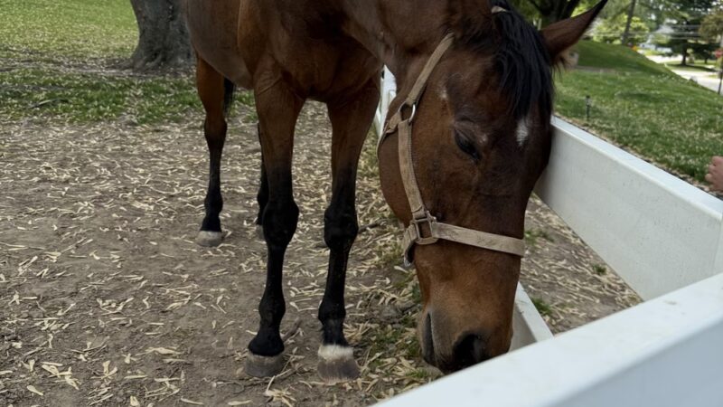 Norview Farm Park - King of Prussia, PA