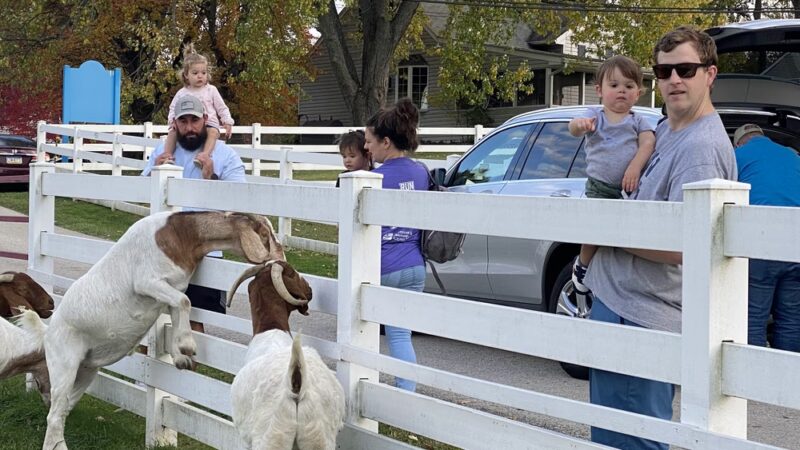 Norview Farm Park - King of Prussia, PA