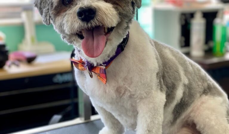 Perfect Pooch - King of Prussia, PA