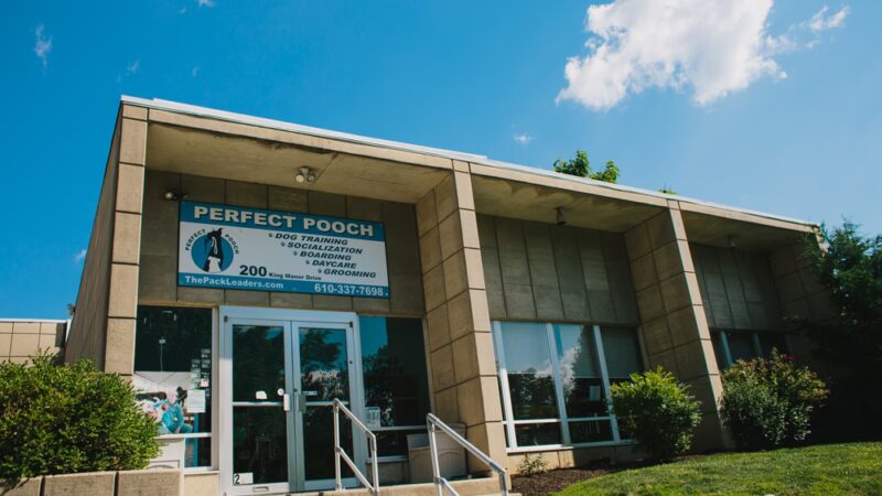 Perfect Pooch - King of Prussia, PA