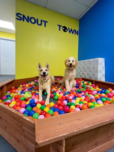 Snout Town - King of Prussia, PA