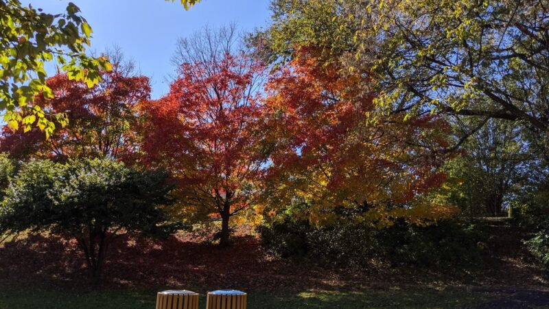 Swedeland Park - King of Prussia, PA