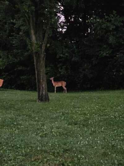 Upper Merion Township Building Park - King of Prussia, PA