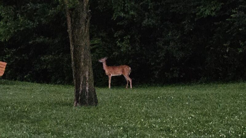 Upper Merion Township Building Park - King of Prussia, PA