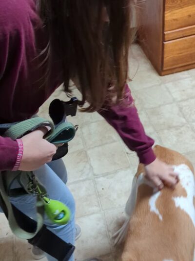 Park Your Bark - Kings Mountain, NC