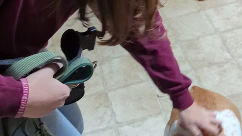 Park Your Bark - Kings Mountain, NC