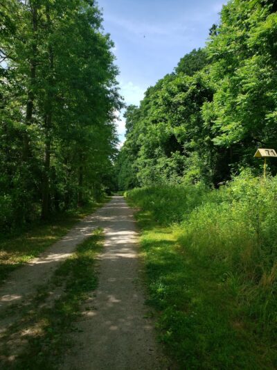 John W. Flemer Preserve - Kingston, NJ