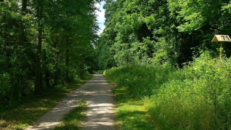 John W. Flemer Preserve - Kingston, NJ