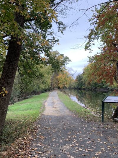 John W. Flemer Preserve - Kingston, NJ