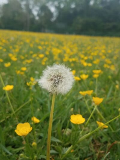 Kingston School Park - Kingston, NJ