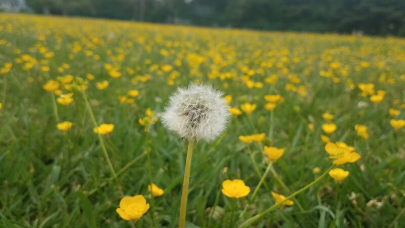 Kingston School Park - Kingston, NJ