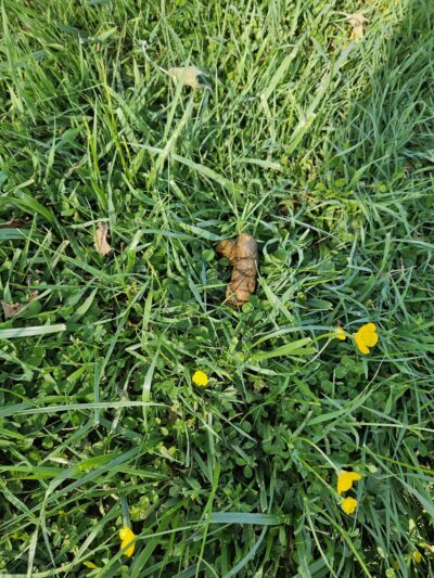 Kingston School Park - Kingston, NJ