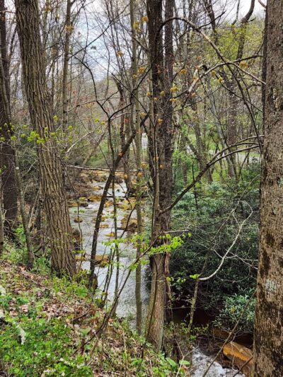 WV Northern Rail-Trail: Kingwood Trailhead Park - Kingwood, WV