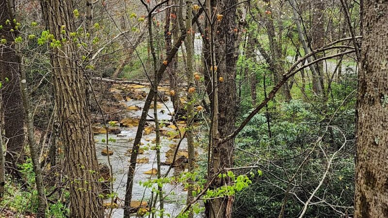 WV Northern Rail-Trail: Kingwood Trailhead Park - Kingwood, WV