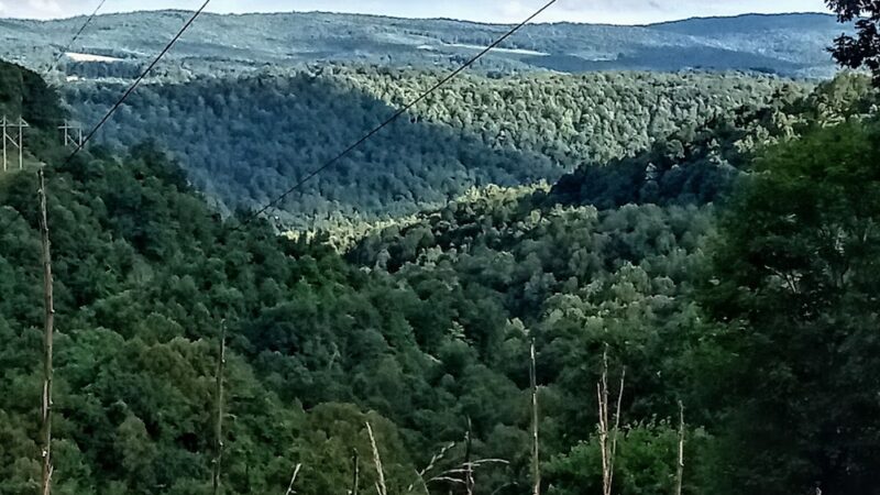 WV Northern Rail-Trail: Kingwood Trailhead Park - Kingwood, WV