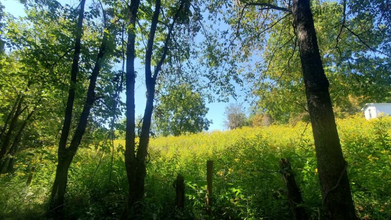 WV Northern Rail-Trail: Kingwood Trailhead Park - Kingwood, WV