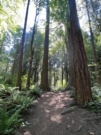 Edith Moulton Park - Kirkland, WA