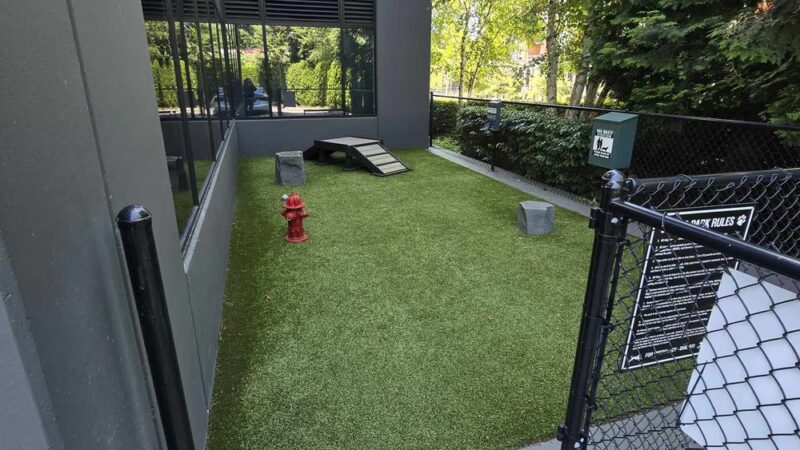 Central Way Plaza Bark Park - Kirkland, WA