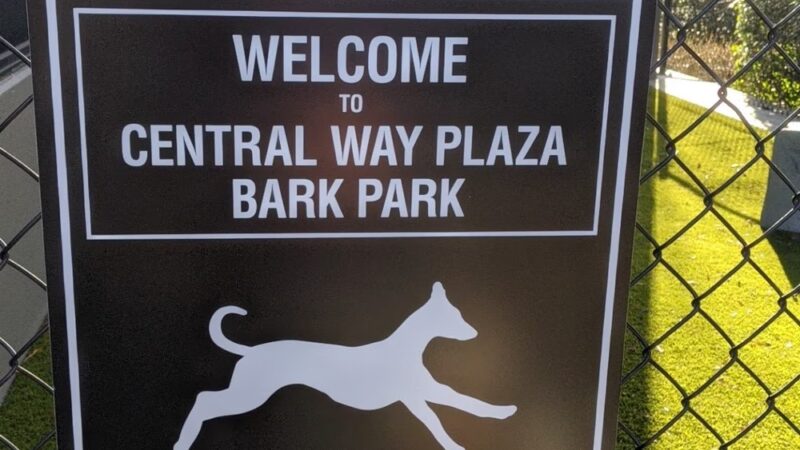 Central Way Plaza Bark Park - Kirkland, WA