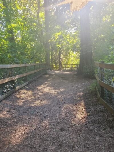 Edith Moulton Off Leash Area - Kirkland, WA