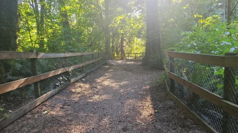 Edith Moulton Off Leash Area - Kirkland, WA