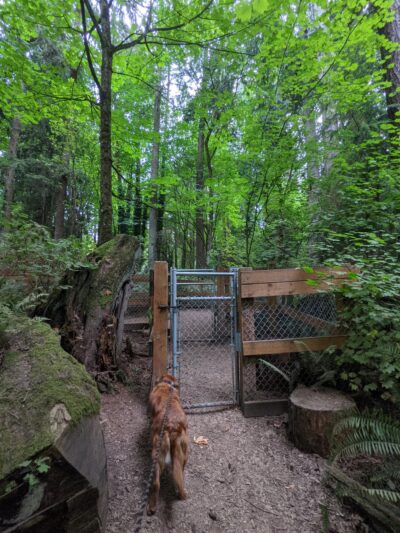 Edith Moulton Off Leash Area - Kirkland, WA