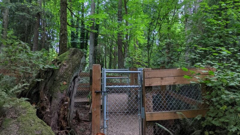 Edith Moulton Off Leash Area - Kirkland, WA