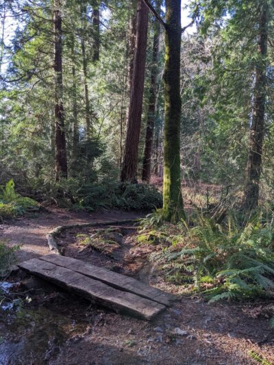 Edith Moulton Off Leash Area - Kirkland, WA