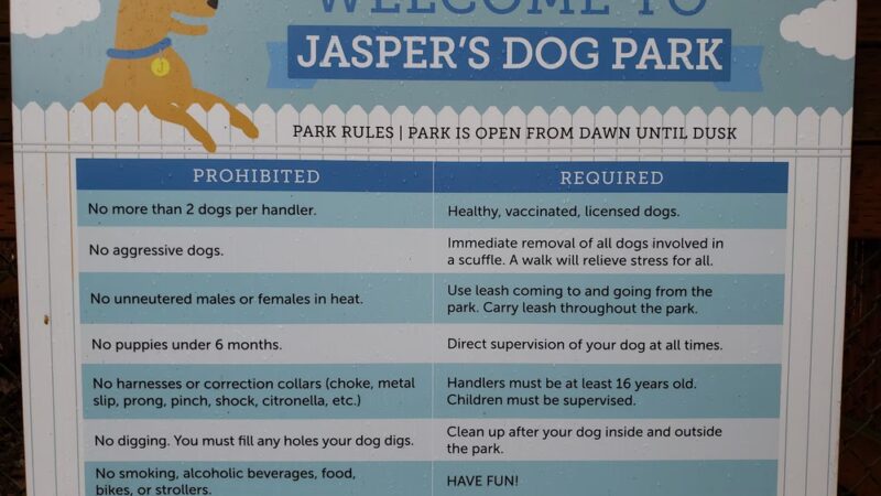 Jasper's Dog Park - Kirkland, WA