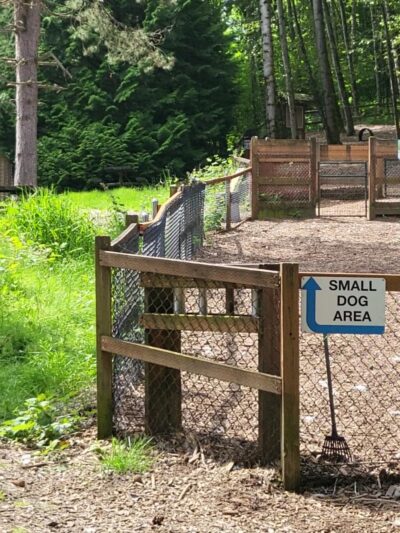 Jasper's Dog Park - Kirkland, WA