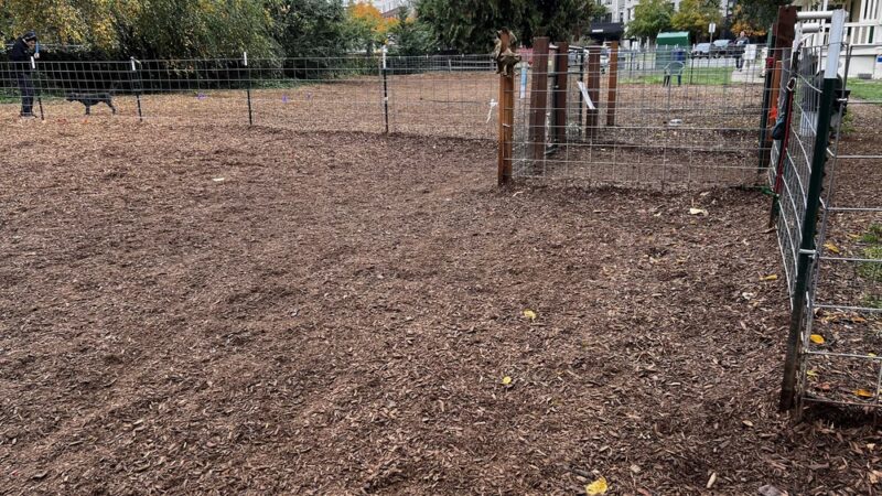 Juanita bay dog park - Kirkland, WA