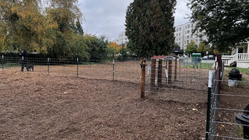 Juanita bay dog park - Kirkland, WA