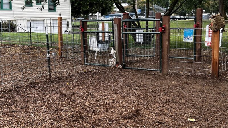 Juanita bay dog park - Kirkland, WA