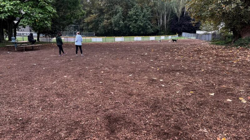 Juanita bay dog park - Kirkland, WA