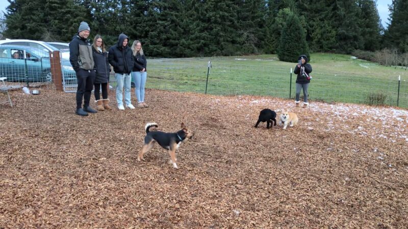 Snyder's Corner Park - Kirkland, WA