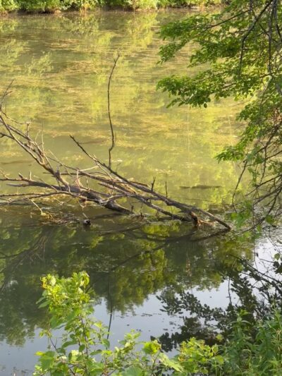Erie canal state park - Manlius Center Road &Minoa - Kirkville, NY