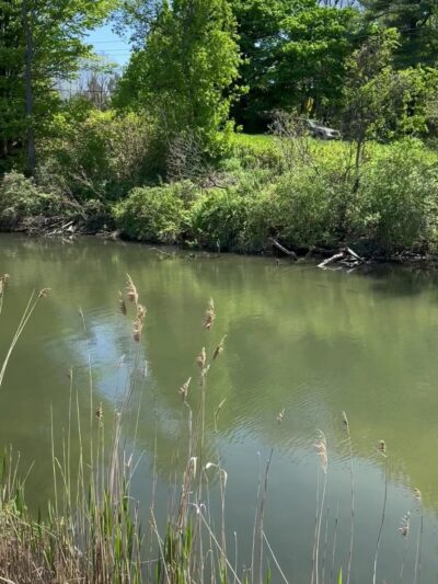 Erie canal state park - Manlius Center Road &Minoa - Kirkville, NY