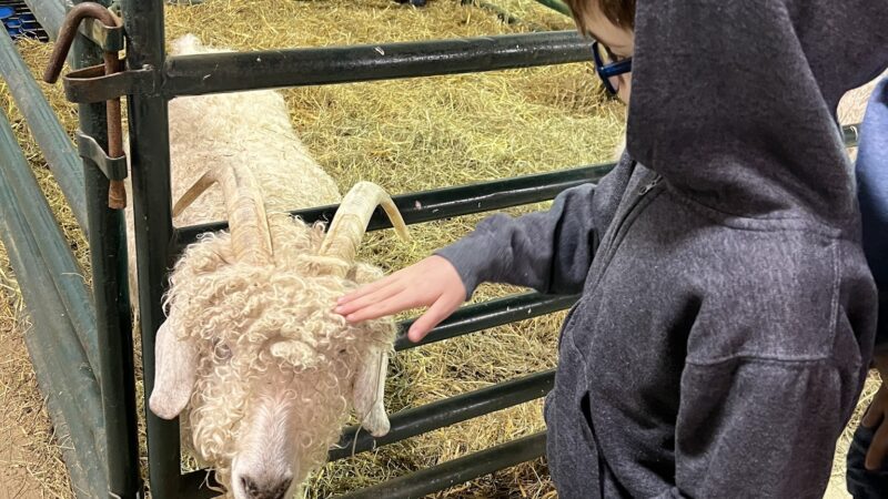 Lake Metroparks Farmpark - Kirtland, OH
